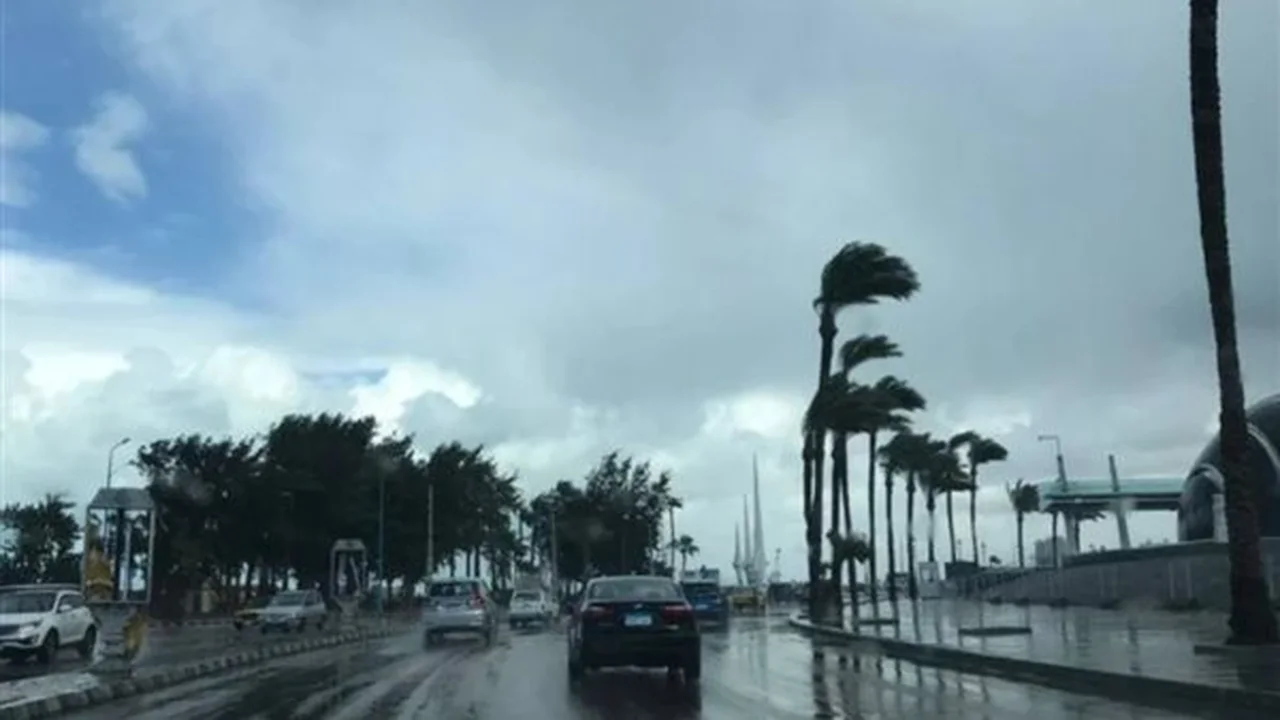 الأرصاد تحذر من عاصفة رملية تقترب من الحدود المصرية مصحوبة بسقوط أمطار